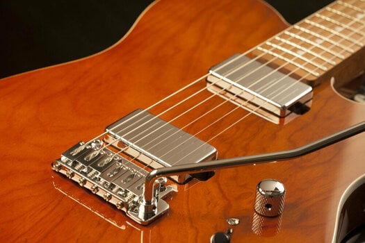 Elektrisk guitar Schecter PT Van Nuys Gloss Natural Ash - 16