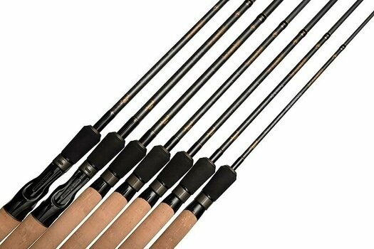 Canne à pêche Fox Rage Terminator Big Bait Spin Canne 2,7 m 40 - 160 g 2 parties - 7