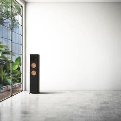 Głośnik podłogowy Hi-Fi Klipsch RP-6000F II Głośnik podłogowy Hi-Fi Ebony - 7