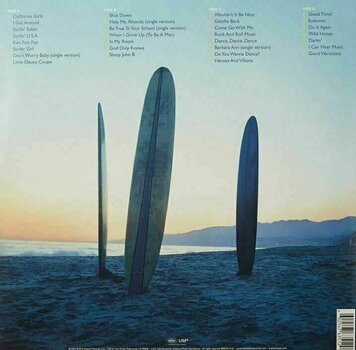 Vinyl Record The Beach Boys - Sounds Of Summer (2 LP) - 3