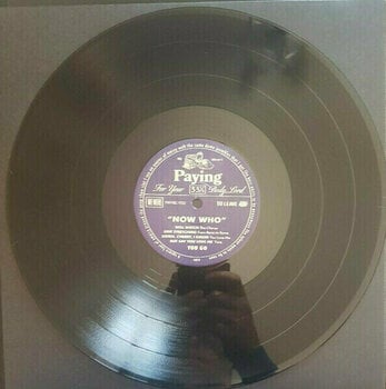 Vinylplade Father John Misty - Chloe And The Next 20th Century (2 LP) - 3
