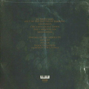 Vinylskiva Dead Can Dance - Spleen And Ideal (LP) - 4