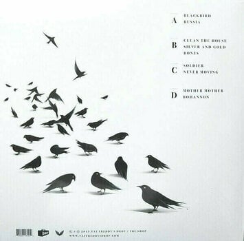 Disco de vinil Fat Freddy's Drop - Blackbird (2 LP) - 6