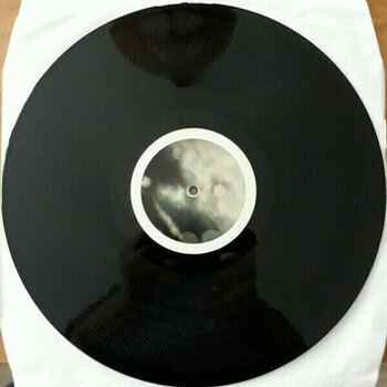 Disque vinyle Blackfield - Open Mind The Best Of Blackfield (2 LP) - 5