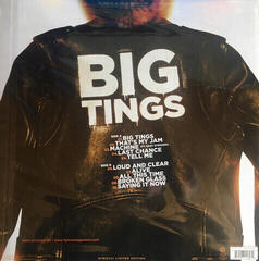 Disco in vinile Skindred - Big Tings (LP) - 1