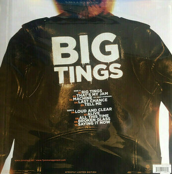 Disco de vinil Skindred - Big Tings (LP) - 2