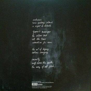 Vinyl Record Gojira - The Way Of All Flesh (2 LP) - 2