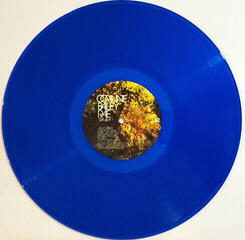 Disco in vinile Corinne Bailey Rae - The Sea (LP) - 3