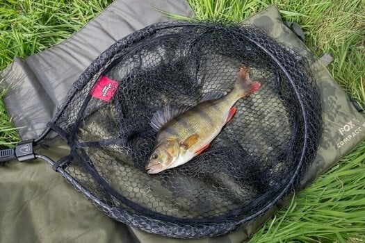 Landing Net Fox Rage Street Fighter Carbon Street Net 240 cm Landing Net 2 parts - 12