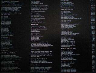 Schallplatte Don McLean - Botanical Gardens (LP) - 4