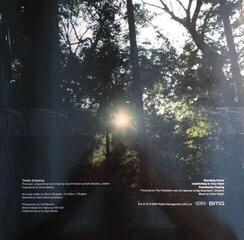 LP platňa The Charlatans - Totally Eclipsing (12" EP) - 2
