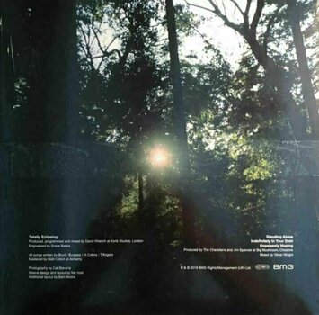 Δίσκος LP The Charlatans - Totally Eclipsing (12" EP) - 3