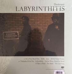 Δίσκος LP Destroyer - Labyrinthitis (LP) - 1