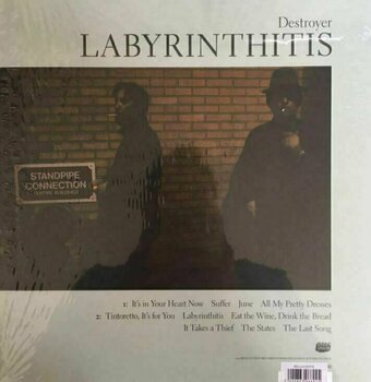 Disque vinyle Destroyer - Labyrinthitis (LP) - 2