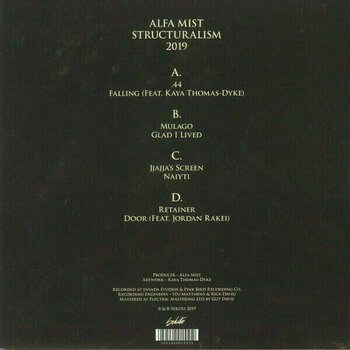 Vinylskiva Alfa Mist - Structuralism (Repress) (Blue Vinyl) (2 LP) - 5