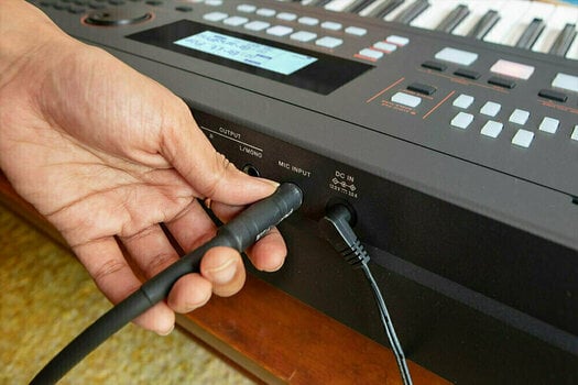 Keyboard mit Touch Response Roland E-X50 - 11