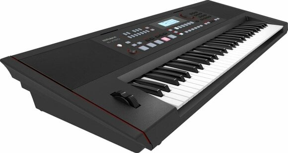 Keyboard met aanslaggevoeligheid Roland E-X50 - 2
