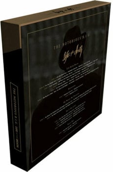 Vinyylilevy Notorious B.I.G. - Life After Death (Deluxe Edition) (8 LP) - 3