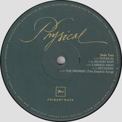 Schallplatte Olivia Newton-John - Physical (LP) - 2