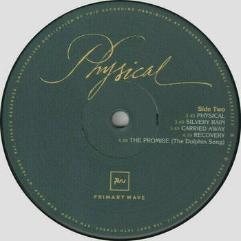 Vinyl Record Olivia Newton-John - Physical (LP) - 3