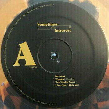 Schallplatte Little Simz - Sometimes I Might Be Introvert (Milky Clear Vinyl) (2 LP) - 3