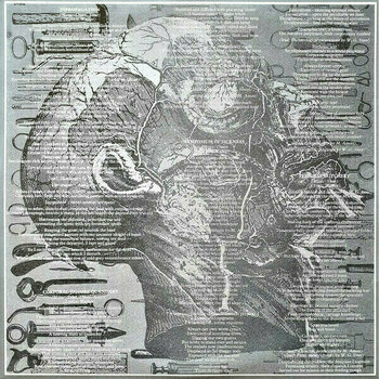 Disque vinyle Carcass - Necroticism - Descanting The Insalubrious (LP) - 3