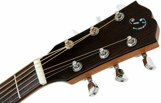 Guitare acoustique Jumbo Dowina J999 - 2