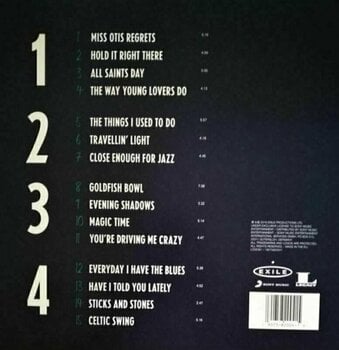 Disco in vinile Van Morrison - You're Driving Me Crazy (2 LP) - 6