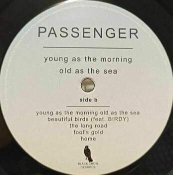 Vinyl Record Passenger - Young As The Morning Old As The Sea (LP) - 3