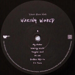 Płyta winylowa Youn Sun Nah - Waking World (LP) - 2