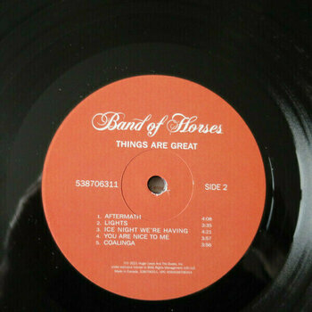 Disque vinyle Band Of Horses - Things Are Great (LP) - 3