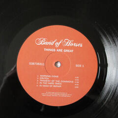 Disco in vinile Band Of Horses - Things Are Great (LP) - 3