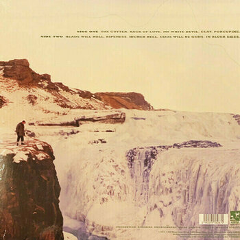 Vinyl Record Echo & The Bunnymen - Porcupine (LP) - 2