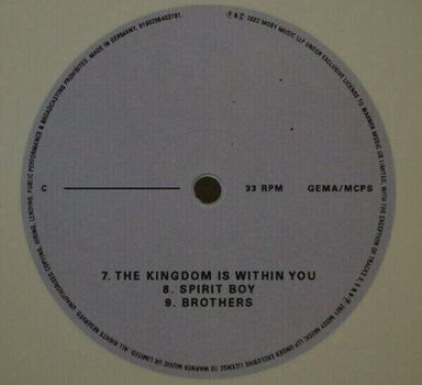 Δίσκος LP Gang Of Youths - Angel In Realtime (2 LP) - 4