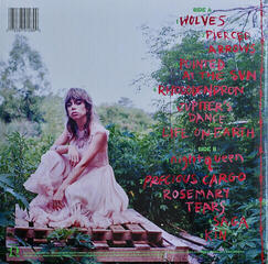 LP deska Hurray For The Riff Raff - Life On Earth (LP) - 3