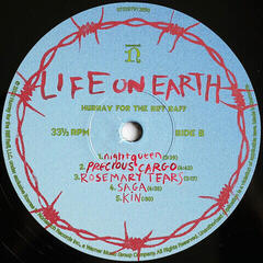 LP deska Hurray For The Riff Raff - Life On Earth (LP) - 2