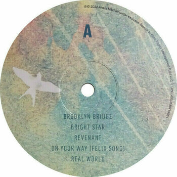 Disque vinyle Anais Mitchell - Anais Mitchell (LP) - 2