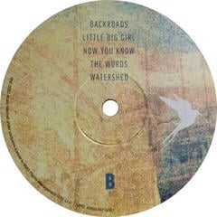 Disque vinyle Anais Mitchell - Anais Mitchell (LP) - 2