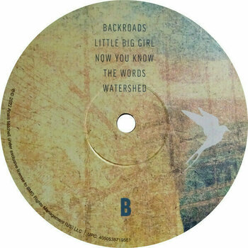 Disque vinyle Anais Mitchell - Anais Mitchell (LP) - 3