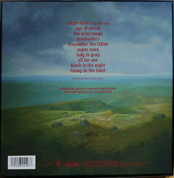 Vinyylilevy Saxon - Carpe Diem (CD + LP) - 7