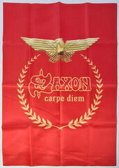 Disque vinyle Saxon - Carpe Diem (CD + LP) - 5