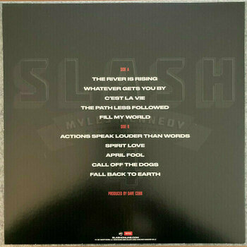 Vinyl Record Slash - 4 (LP) - 6