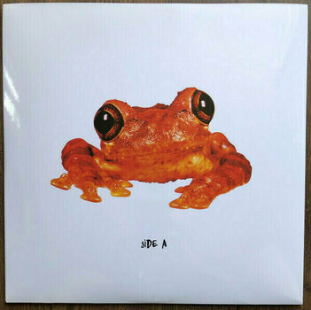 Vinylplade Silverchair - Frogstomp (Clear Vinyl) (2 LP) - 3
