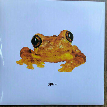 Vinyl Record Silverchair - Frogstomp (Clear Vinyl) (2 LP) - 7