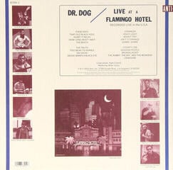 LP Dr. Dog - Live At A Flamingo Hotel (2 LP) - 1