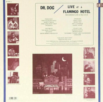 Vinyylilevy Dr. Dog - Live At A Flamingo Hotel (2 LP) - 2
