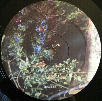 LP plošča The Drums - Abysmal Thoughts (2 LP) - 2