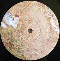 Vinylplade The Drums - Abysmal Thoughts (2 LP) - 3