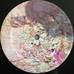 Vinylplade The Drums - Abysmal Thoughts (2 LP) - 4