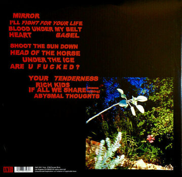 LP plošča The Drums - Abysmal Thoughts (2 LP) - 6